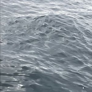 Meet your Posher, Marlen